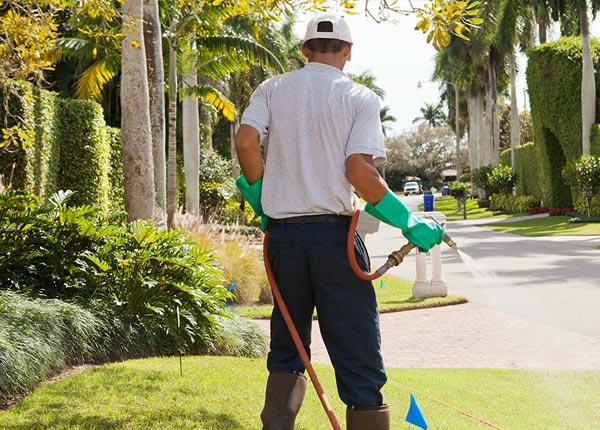 About Black Creek NY Pest Control